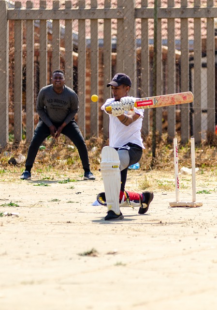 The Role of Cricket in Economic Policy Making