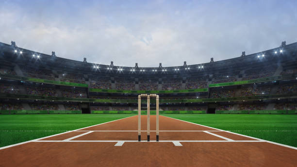 Assessing the influence of betting on cricket’s financial ecosystem