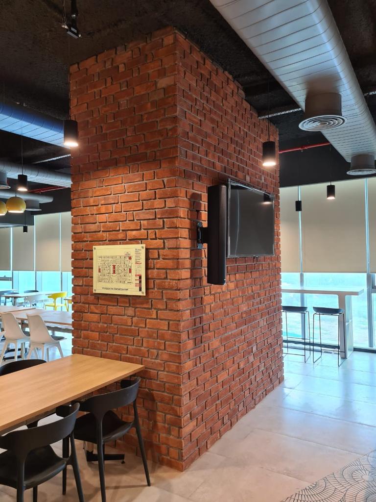Wire Cut Clay Bricks